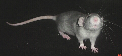 Yes, I know I am beautiful! **MAR Ocean Mist**